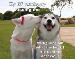 Cute Meme By Iamturtle Memedroid