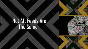 Indoor Plant Feed Feed Indoor Plant Indoor Plants Liquid Gold Leaf Plant Nutrients