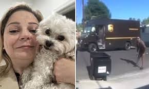 Amazon: Deals, Top Offers and Sales News