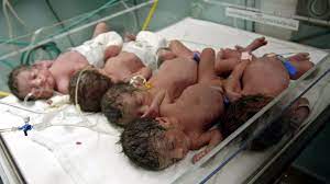 Sogar zwei babys mehr, als ärztinnen und ärzte noch bei der ultraschalluntersuchung entdeckt haben. Jobzngrnrho6dm