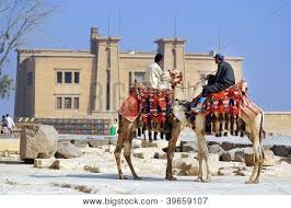 Cost of living in egypt is, on average, 5.16% lower than in. Camel Ride Image Photo Free Trial Bigstock
