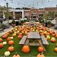 The Village Pumpkin Patch event image