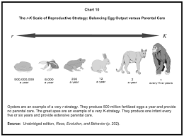 rushton comparative perspective i q and human intelligence