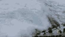 Share the best gifs now >>>. I Believe I Can Fly Gifs Tenor