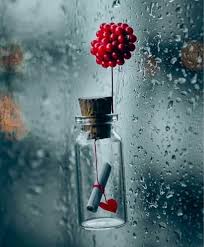Shared By Princess Rose Find Images And Videos About Love On We Heart It The App To Get Lost In Cute Wallpapers Miniature Photography Beautiful Wallpapers