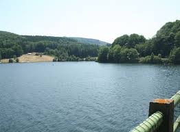 Accueil s'informer sur les aides enfance et jeunesse logement et cadre de vie petite enfance solidarité et insertion. Peche A La Carpe Dans Le Tarn Etangs Lacs Prives Publics Passion Carpe