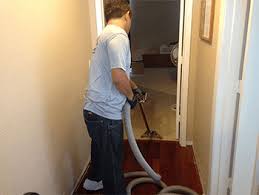 Maybe you would like to learn more about one of these? Mold Remediation Company Best Mold Inspection Katy Tx