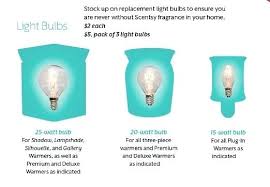 Light Bulbs Bulb Size Important To Use Only The Scentsy Uk