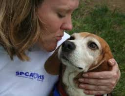 There Once was a Plain Brown Dog