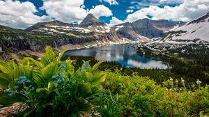 Jul 22, 2021 · transport yourself to the beauty of glacier this fall and winter with one of our desktop wallpapers, featuring the incredible work of photographer cole buckovich.cole spent the fall of 2019 with the glacier conservancy on a creative sabbatical with amble. Glacier National Park In The U S State Of Montana Hidden Lake Bearhat Mountain Clements Mountain And Reynolds Landscape Wallpaper Hd 2560x2160 Wallpapers13 Com