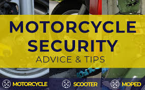 Enjoy a whole year of meerkat meals & meerkat movies*. Motorcycle Security Guide Best Ways To Prevent Motorbike Theft 2021