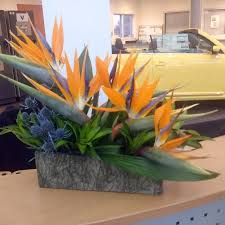 Bird Of Paradise Arrangement Ideas Low Arrangement Of Birds Of Paradise Eryngium And Tropical Greens Flower Arrangements Simple Modern Flower Arrangements Tropical Floral Arrangements