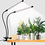 Red light is also necessary for growing vegetables indoors. Indoor Grow Lights Beginner S Guide Everything You Need To Know