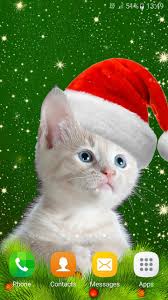 Dies ist eine barrierefreie vorlage. Weihnachten Katze Hintergrund Fur Android Apk Herunterladen