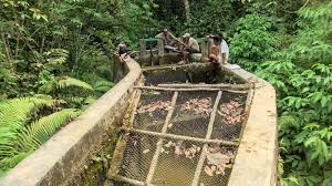 Energi Ramah Lingkungan