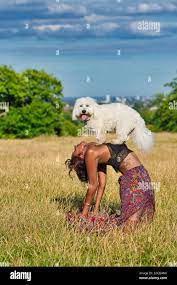 Mujer haciendo yoga con su perro .Doga yoga con su perro Fotografía de  stock 