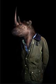 Well Dressed Animals Mimicking Human Characteristics Paperblog Animals Rise Art Pet Portraits