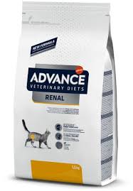 Advance Bobrek Feline