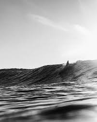 Aesthetic Black And White Ocean Waves Black White Ocean Dolphin Surfing By Ryan Pernofski Black And White Aesthetic Black Ocean Black And White Photo Wall