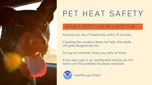 Monday to 8 p.m.tuesday in the north of the san joaquin valley and 12 p.m. Evansville Fire Department On Twitter Nwspaducah Has Issued An Excessive Heat Warning From Noon Thursday 7 18 To 7 Pm Sunday 7 21 During Extreme Heat Avoid Strenuous Activity Wear Light Colored Clothing