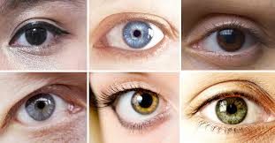 Why Eyes Have Different Colors A Science Based Look