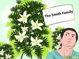 Maybe you would like to learn more about one of these? How To Buy Flowers For A Funeral 12 Steps