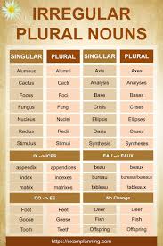 Irregular Plural Nouns List In 2021 Irregular Plural Nouns List Plural Nouns List Irregular Plurals