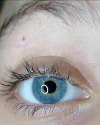 Pin De American Rubik En Goz Resimleri Eye Album