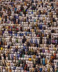 Image result for tbn:qO7wj5skszRxcM::img516.imageshack.us/img516/5782/untitled92of.png