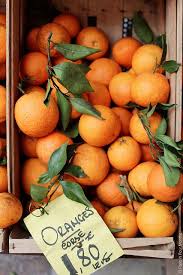 Wonderful Vacation In Bastia Corsica Bastia Corsica Orange