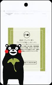 Noi 国産 イチョウの葉 アルファリポ酸 カルニチン Noiサプリメント公式サイト