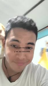 El Amor De Primera Vista De Gatos