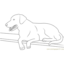 Please enjoy these coloring pages excerpted from america's favorite birds: Black Lab Coloring Pages For Kids Download Black Lab Printable Coloring Pages Coloringpages101 Com