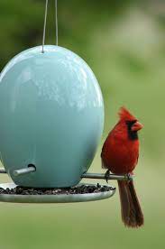 7 Ways To Attract Cardinals So You Can Enjoy Their Beauty In Your Yard Birds Black Oil Sunflower Seeds Bird Feeders