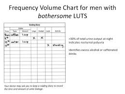 Nice Guidance For Luts Management For G Ps Presentation 2012