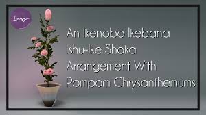 Raya subang cikamurang 12, tel: Shoka Shofutai 1 An Ikenobo Ikebana Ishu Ike Shoka Arrangement With Pompom Chrysanthemums Youtube