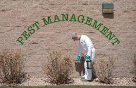 If you use pesticides to control pests around the house, make sure you use as little as possible. Bed Bugs Heat Treatment Appleton Wi