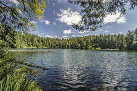 Consider things such as access and accommodation at the base of battle ground lake state park, as well as the logistics of climbing to the summit. Clark County Public Health Issues Blue Green Algae Advisory For Battle Ground Lake Clarkcountytoday Com
