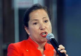 Candidates compete for schools chief, lieutenant governor