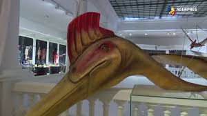 Acest muzeu este dedicat aproape în totalitate pictorului olandez vincent van gogh, conținând cea mai mare colecție a pictorului din întreaga lume. Cel Mai Mare Dinozaur ZburÄtor Din Lume Expus La Muzeul Antipa Youtube