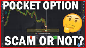 Pocket option is an online broker for trading binary options and forex. Pocket Option Review 2021 Scam Or Not Trusted Broker Test