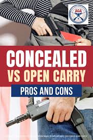 Go up to the third con. Pin On Gun Control Laws