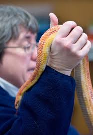 Templeton students see animals from the humane association
