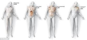 Ash for dashia pt2 7. What Happens When A Body Is Donated To Science Daily Mail Online