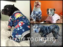 Custom Large Dog Pitbull Pajamas By Tooth Honey Dog Pajamas Large Dogs Dogs
