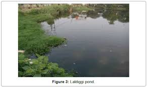 Benthos Composition And Abundance In Lentic Ecosystems