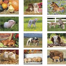 2018 Baby Farm Animals Calendar Imprinted Calendar 2018 Imprinted Calendars 2018 Calendar Animal Babies Animal Ba Baby Farm Animals Baby Pigs Farm Animals