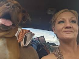 Zero is resting peacefully after his trip to the vet today. He was the last  dog seen, roommate is waiting for a call from the vet tomorrow to discuss  test results and