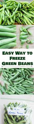 I like to pick beans no fatter than a pencil. How To Freeze Fresh Green Beans Without Blanching Great For Gardens Recipe Green Beans Frozen Green Beans Freeze Fresh Green Beans