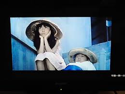 夏草の女たち VHSビデオ